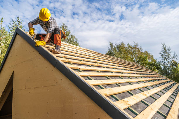 Best Roof Waterproofing Services  in Edwardsvle, IL