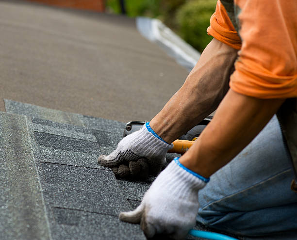 Best Residential Roofing Contractor  in Edwardsvle, IL